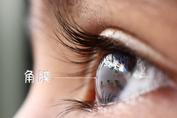 角膜2.png